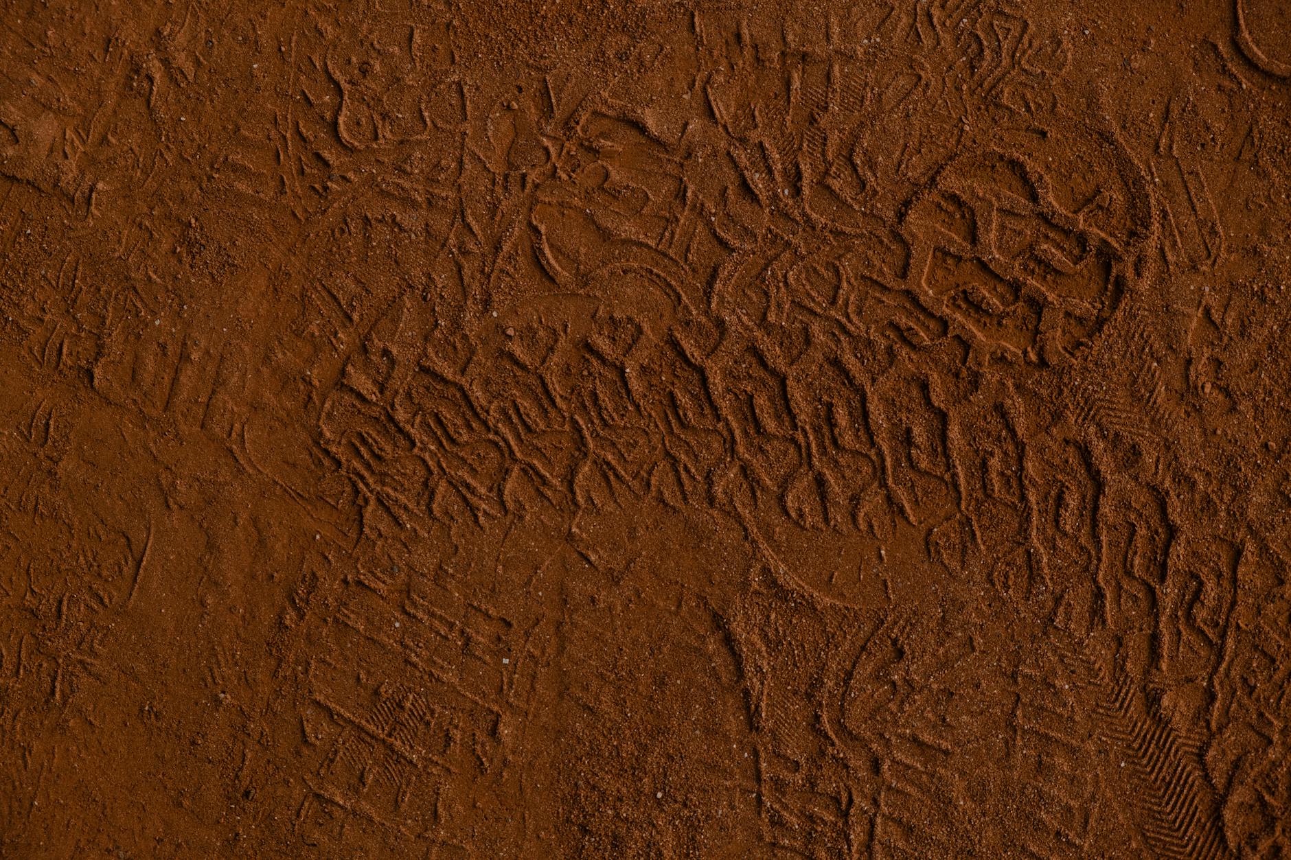 Avis sur les solutions d'évacuation : Ce que les pros ne vous disent pas