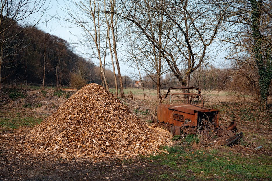 Chantier de budget décaissement