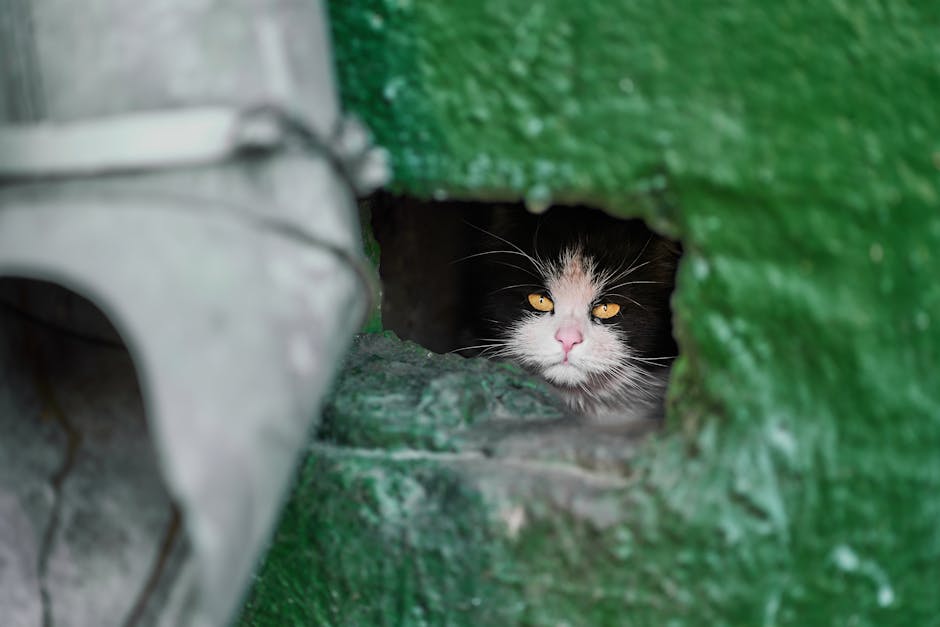 Chantier de comment faire drainage terrain