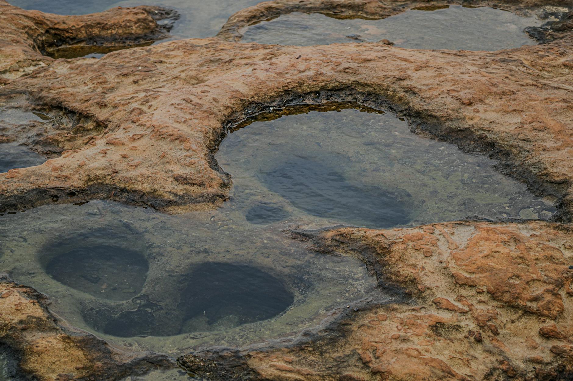 Conseils terrassement piscine : Les étapes clés
