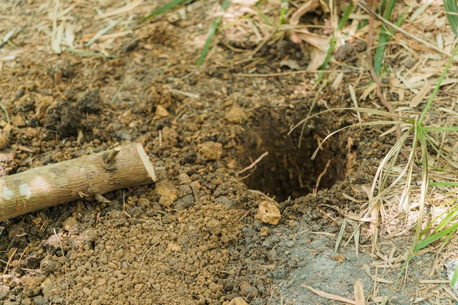 Travaux de digging foundation hole