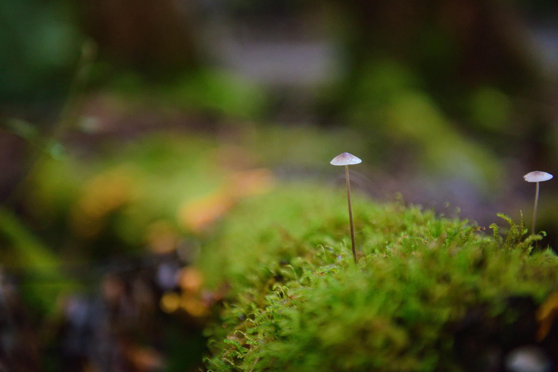 Coût micro-station : Tarifs détaillés et pièges à éviter