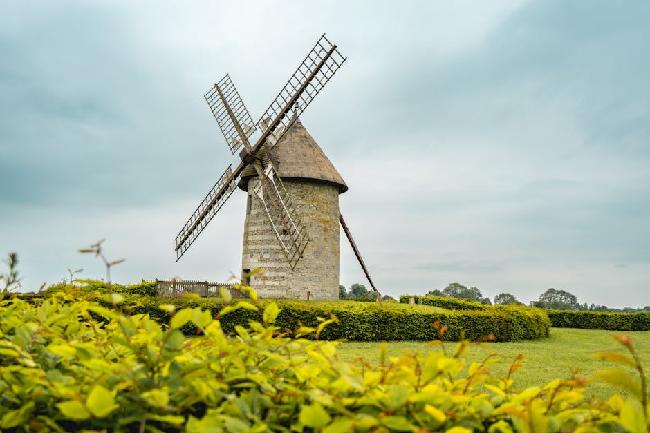 Travaux de french drain gravel