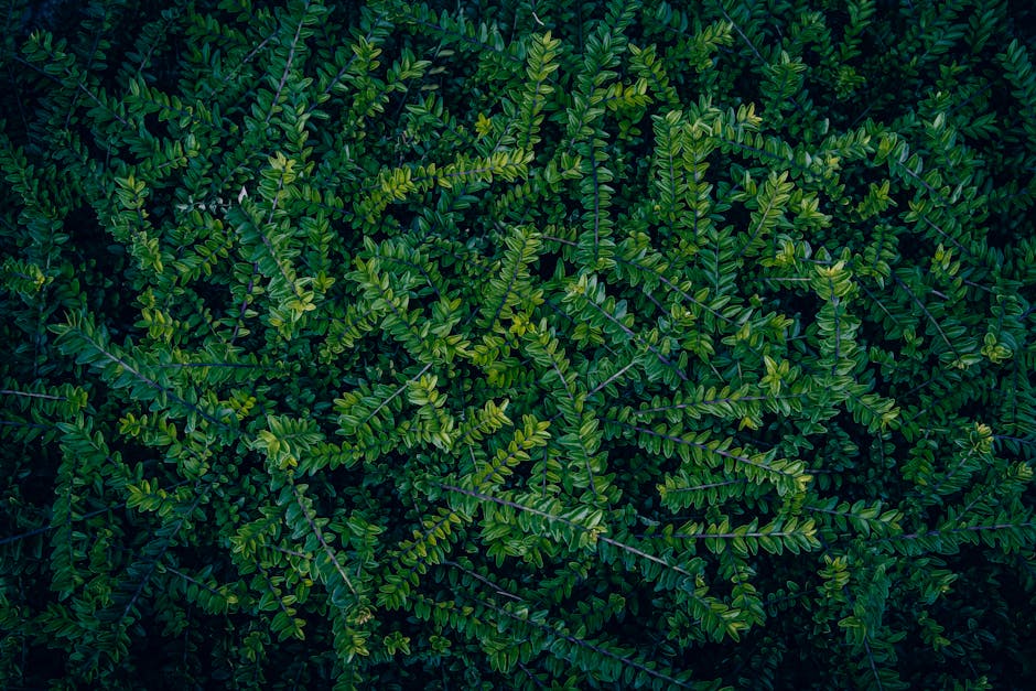 Chantier de erreurs à éviter excavation piscine