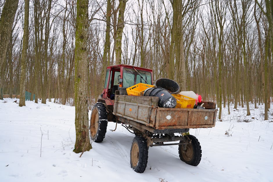 Chantier de qu'est-ce que le remblai