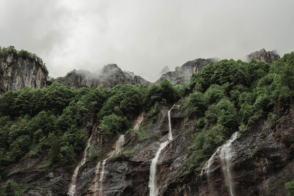 Chantier de raccordement tout-à-l'égout prix moyen