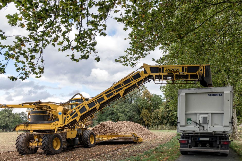 Chantier de tarif décaissement