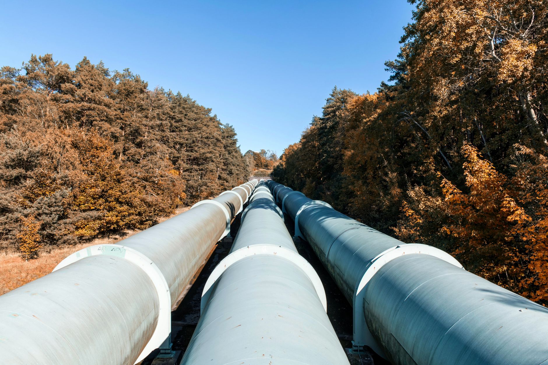 Tarif drainage terrain : Tarifs détaillés et pièges à éviter