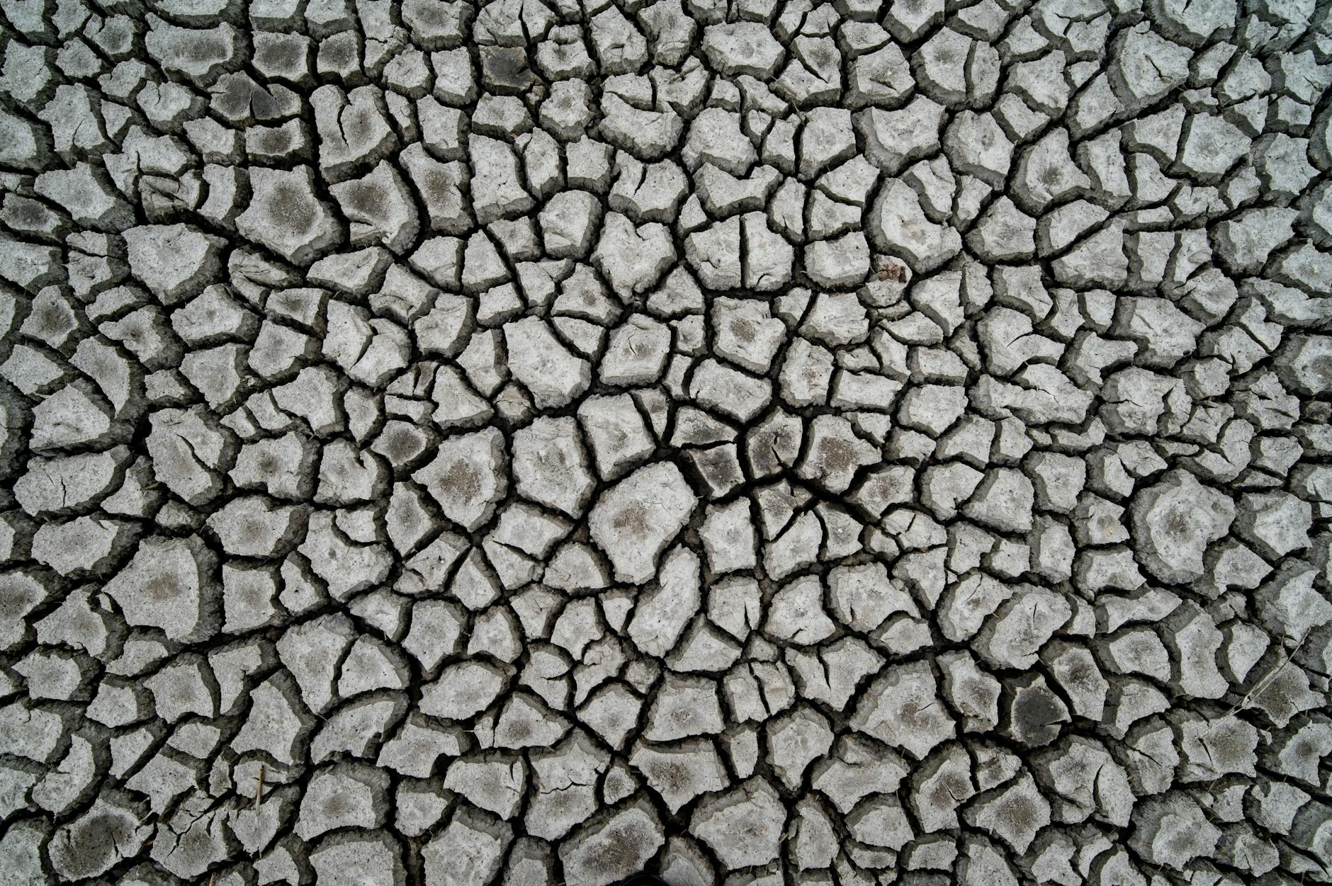 Tarif fouilles assainissement : Prix au m² et ce qui fait varier la facture