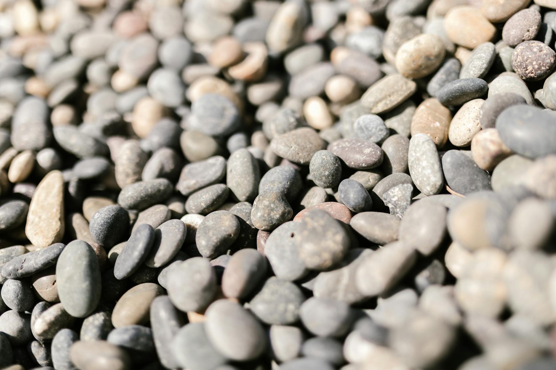 Tarif remblaiement m³ : Prix au m² et variations